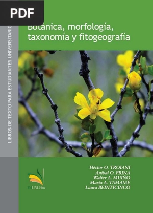 Botánica, morfología, taxonomía y fitogeografía