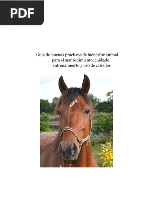 Guía de buenas prácticas de bienestar animal para el mantenimiento, cuidado, entrenamiento y uso de caballos