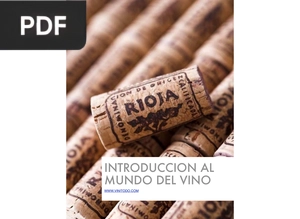 Introducción al mundo del vino