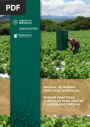 Manual de buenas prácticas agrícolas. Buenas prácticas agrícolas para frutas y hortalizas frescas