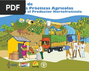 Manual de Buenas Prácticas Agrícolas para el Productor Hortofrutícola