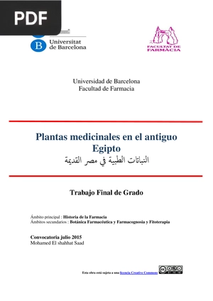 Plantas medicinales en el antiguo Egipto