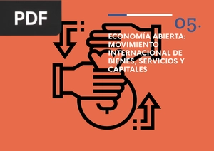 Economía Abierta: Movimiento internacional de bienes, servicios y capitales