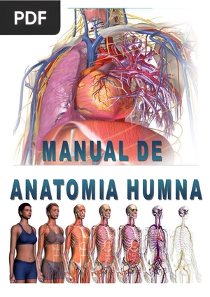 Manual de Anatomía Humana