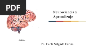 Neurociencia y Aprendizaje