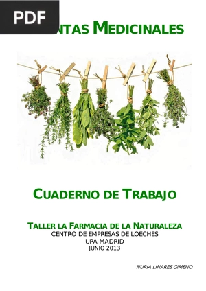 Plantas medicinales