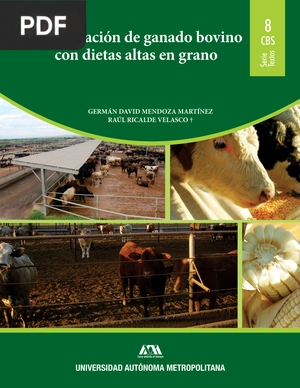 Alimentación de ganado bovino con dietas altas en grano