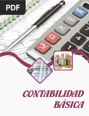 Contabilidad Básica