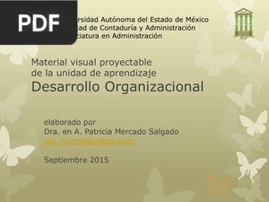 Desarrollo Organizacional (Presentación)