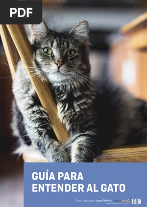 Guía para Entender al Gato