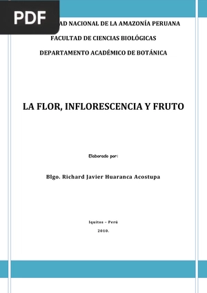 La flor, inflorescencia y fruto