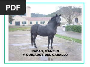 Razas, manejo y cuidados del caballo