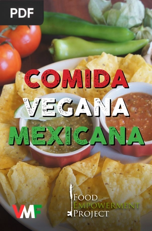 Comida vegana mexicana