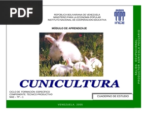 Cunicultura