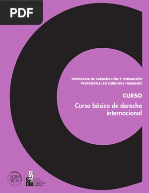 Curso básico de derecho internacional