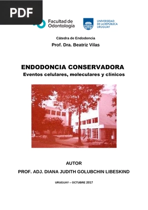 Endodoncia Conservadora