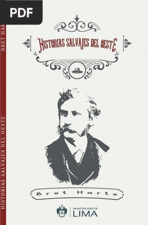 Historias del salvaje oeste