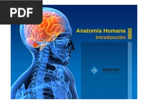 Anatomía Humana Introducción