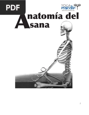 Anatomía del Asana