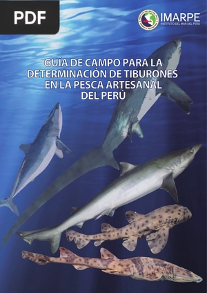 Guía de campo para la determinación de tiburones en la pesca artesanal del Perú