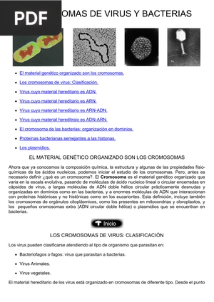 Cromosomas de virus y bacterias