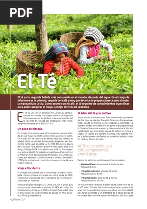 El té (Artículo)