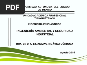 Ingenieria Ambiental y Seguridad Industrial (Presentación)