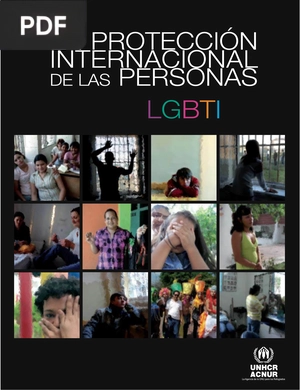 La protección internacional de las personas LGTBI