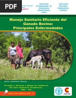 Manejo Sanitario Eficiente del Ganado Bovino: Principales Enfermedades