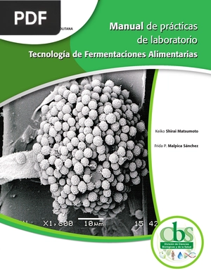 Manual de prácticas de laboratorio. Tecnología de Fermentaciones Alimentarias