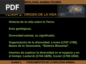 Biología Animal (Presentación)