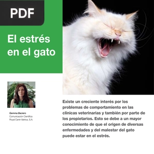 El estrés en el gato (Artículo)