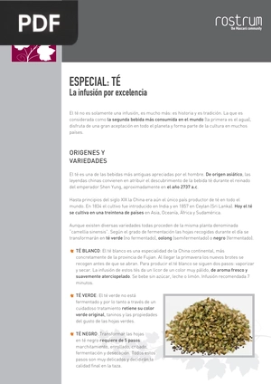 Especial Té. La infución por excelencia (Artículo)