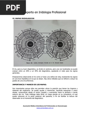 Experto en Iridología Profesional