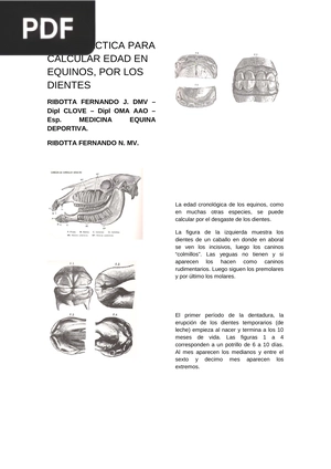 Guía práctica para calcular edad en equinos, por los dientes (Artículo)