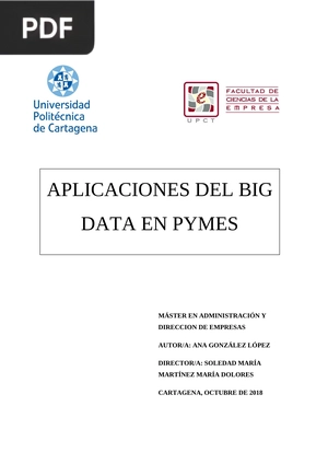 Aplicaciones del Big Data en PYMES