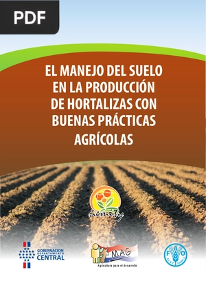 El manejo del suelo en la producción de hortalizas con buenas prácticas agrícolas