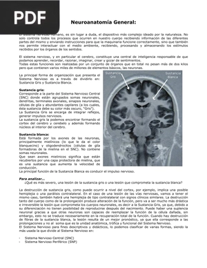 Neuroanatomía General (Artículo)