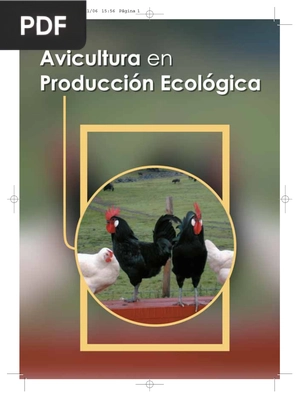 Avicultura en Producción Ecológica