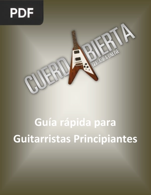 Guía rápida para Guitarristas Principiantes