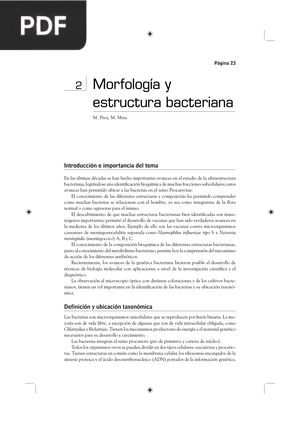 Morfología y estructura bacteriana