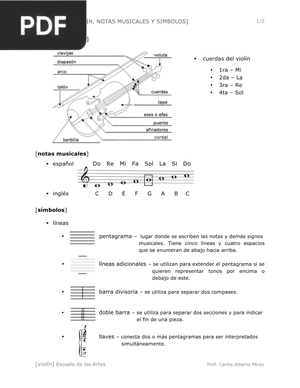 Partes del violin, notas musicales y simbolos