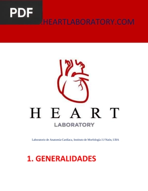 Anatomia: Sistema Cardiovascular 2