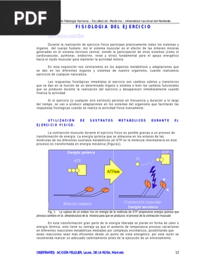 Fisiología del ejercicio