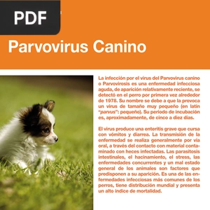 Parvovirus Canino (Artículo)