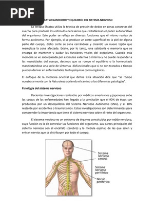 Shiatsu Namikoshi y equilibrio del sistema nervioso (Artículo)