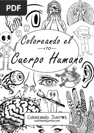 Libro de Cuerpo Humano para Colorear