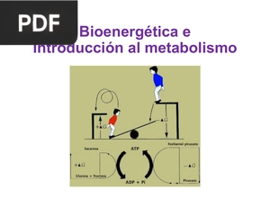 Bioenergética e Introducción al metabolismo (Presentación)