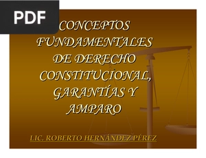 Conceptos fundamentales de derecho constitucional, garantías y amparo