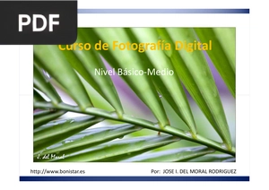 Curso de fotografía digital